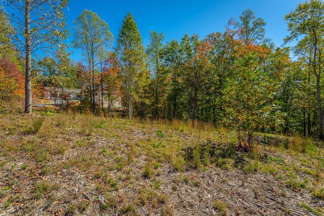 433 Moonlight Ln, Jasper, TN 37347