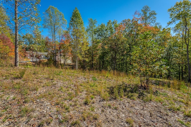 433 Moonlight Ln, Jasper, TN 37347 - photo 41
