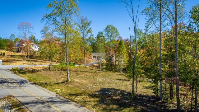 433 Moonlight Ln, Jasper, TN 37347