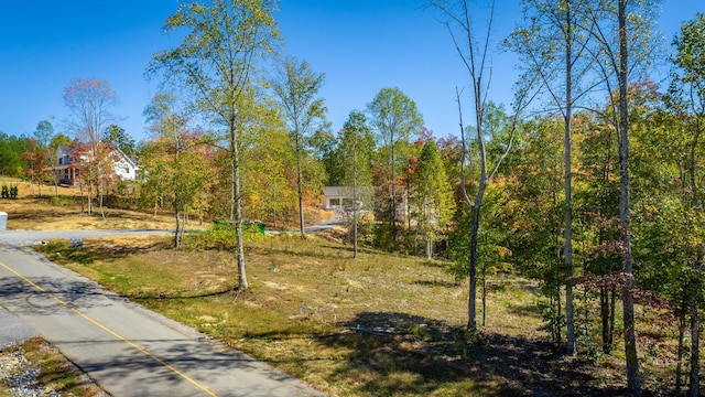 433 Moonlight Ln, Jasper, TN 37347 - photo 40