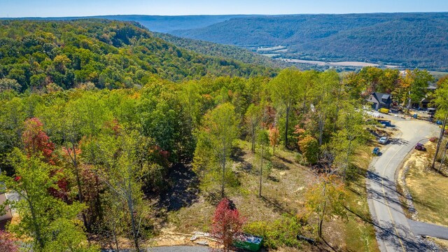 433 Moonlight Ln, Jasper, TN 37347