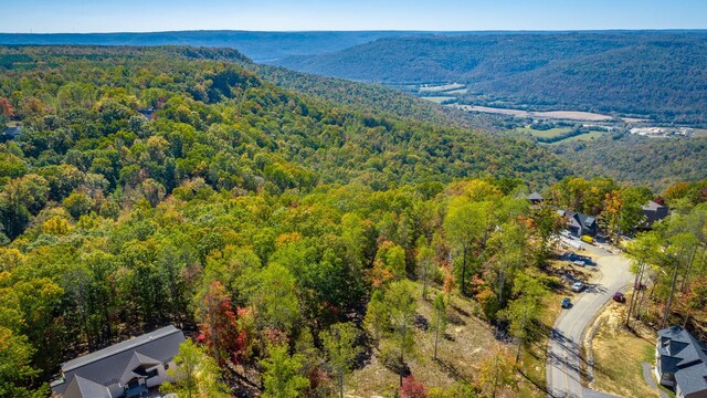 433 Moonlight Ln, Jasper, TN 37347