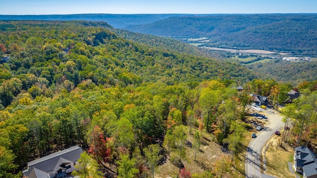 433 Moonlight Ln, Jasper, TN 37347 - photo 38