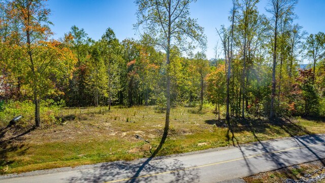 433 Moonlight Ln, Jasper, TN 37347