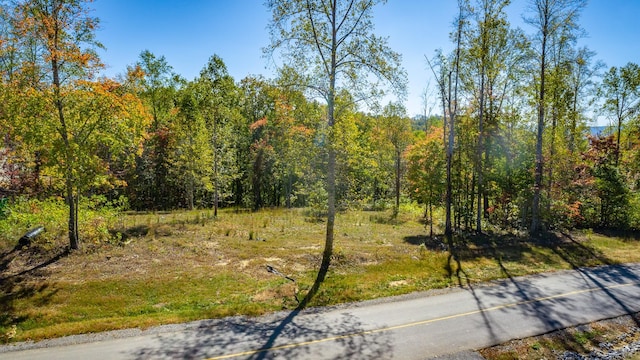433 Moonlight Ln, Jasper, TN 37347 - photo 47