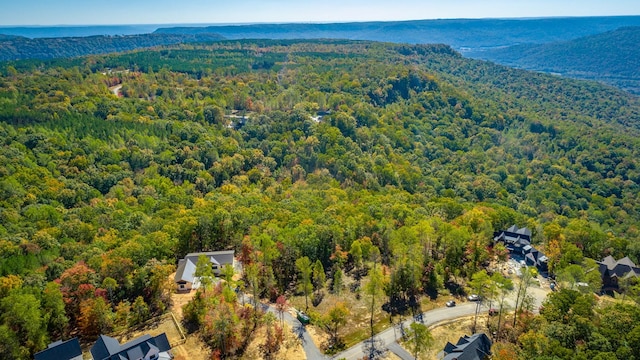433 Moonlight Ln, Jasper, TN 37347 - photo 24