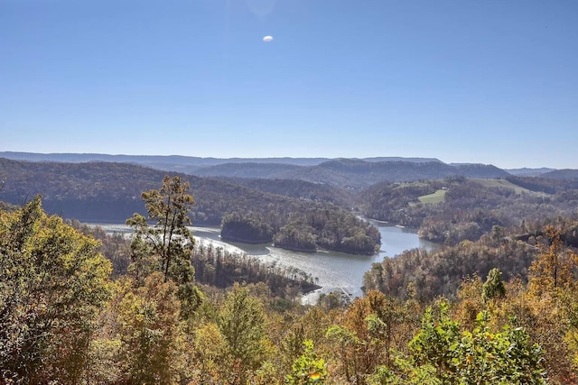 0 Chimney Rock Rd, New Tazewell TN, 37825 land for sale