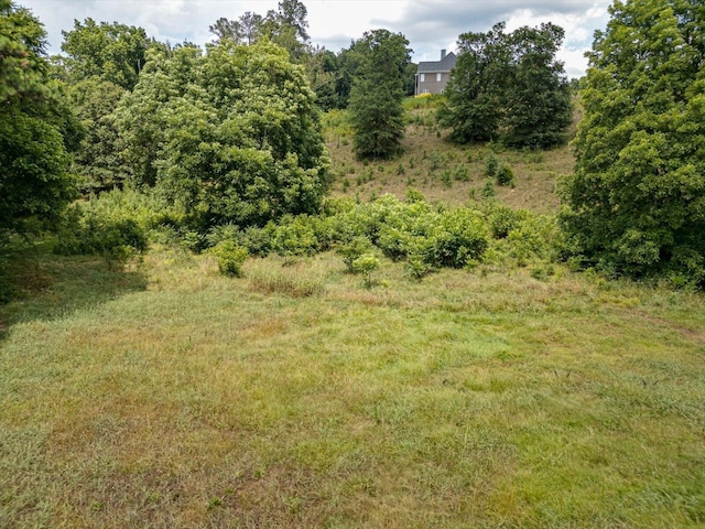 0 Overlook Dr, Ringgold, GA 30736 - photo 14