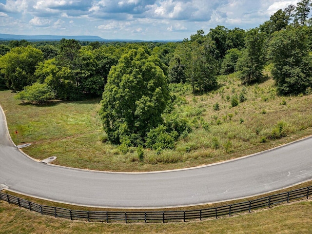 0 Overlook Dr, Ringgold, GA 30736 - photo 5