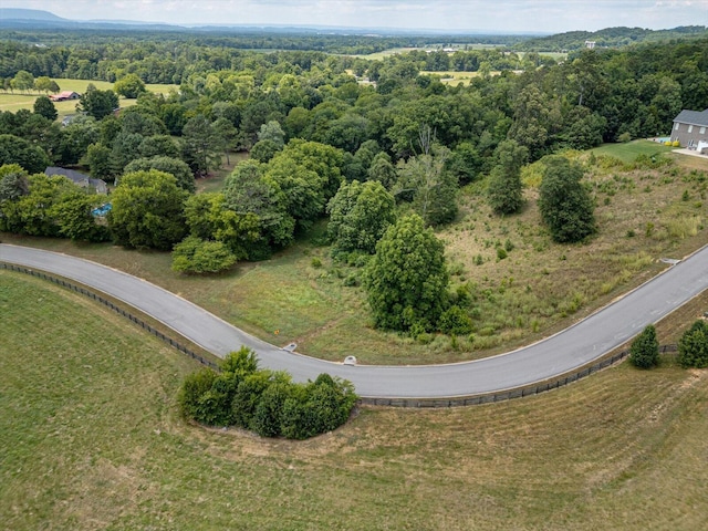 0 Overlook Dr, Ringgold, GA 30736 - photo 8