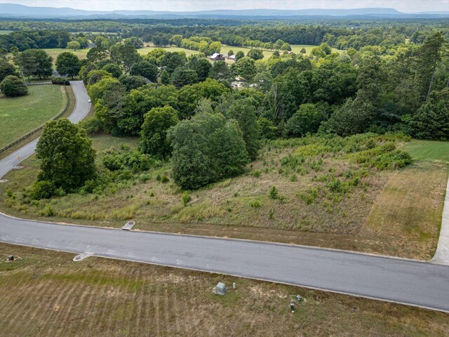 0 Overlook Dr, Ringgold, GA 30736 - photo 7