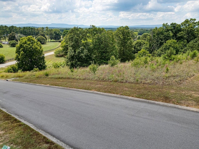 0 Overlook Dr, Ringgold, GA 30736 - photo 6