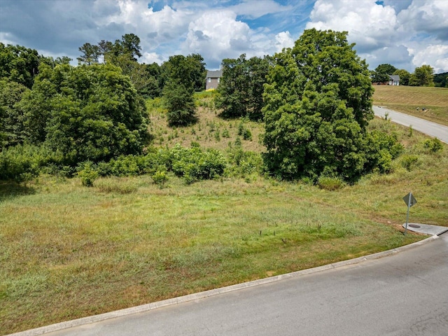 0 Overlook Dr, Ringgold, GA 30736 - photo 4