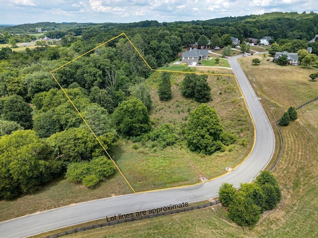 0 Overlook Dr, Ringgold, GA 30736 - photo 2