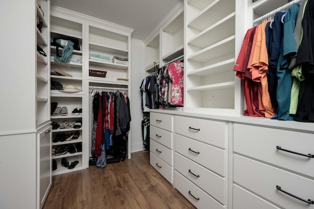 walk in closet featuring dark hardwood / wood-style floors