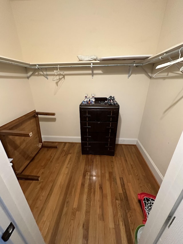 walk in closet featuring hardwood / wood-style flooring