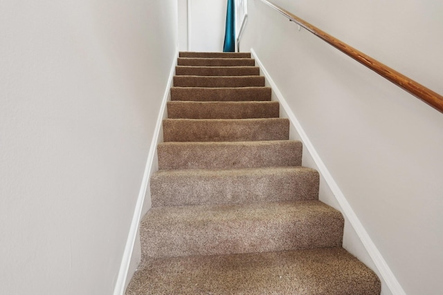 stairway featuring carpet