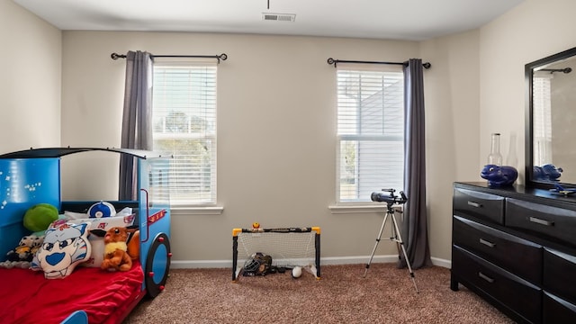 carpeted bedroom with multiple windows