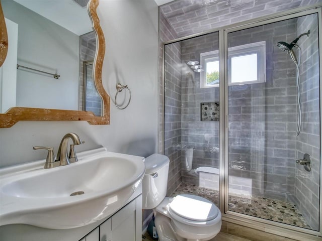 bathroom with vanity, toilet, and a shower with door