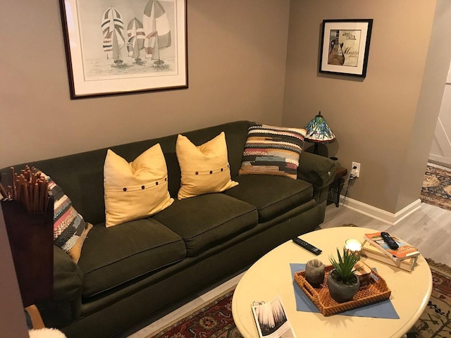 living room with wood-type flooring