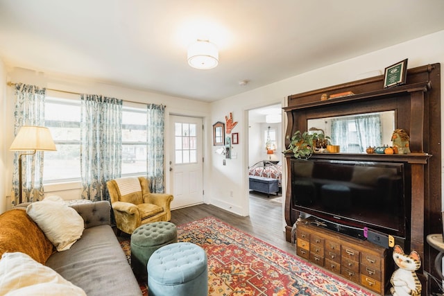 living room featuring dark hardwood / wood-style floors