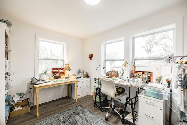 home office featuring dark hardwood / wood-style floors and a wealth of natural light