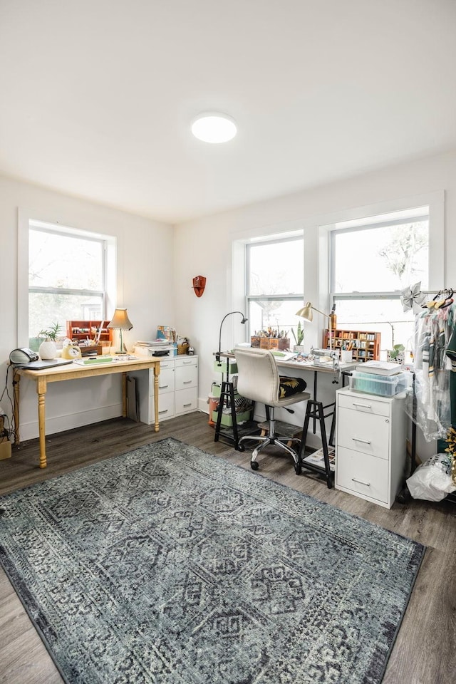 home office featuring wood finished floors