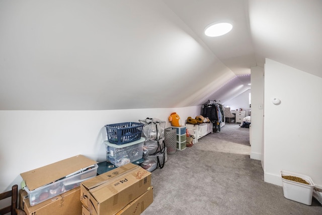 additional living space with baseboards, lofted ceiling, and carpet floors