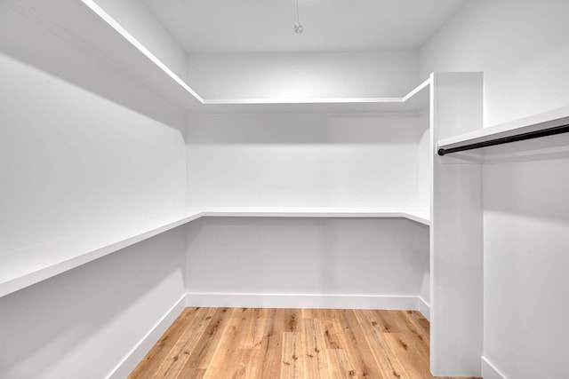 spacious closet with wood-type flooring