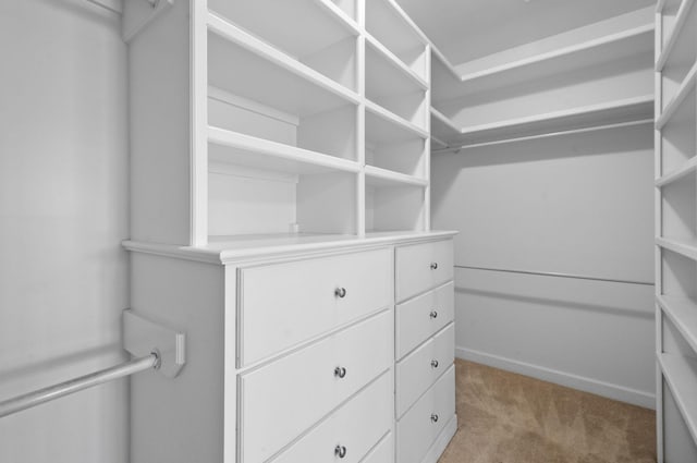 walk in closet featuring light colored carpet