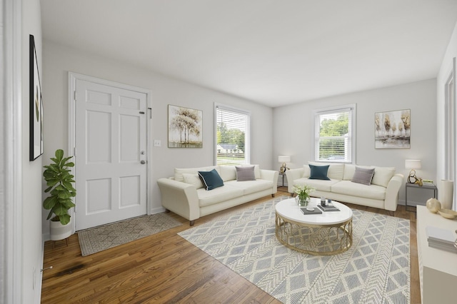 living room with dark hardwood / wood-style flooring