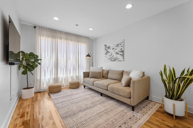 living room featuring wood-type flooring