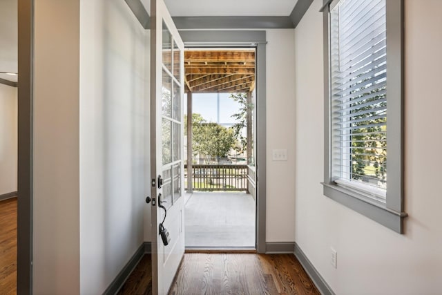 entryway with dark hardwood / wood-style floors