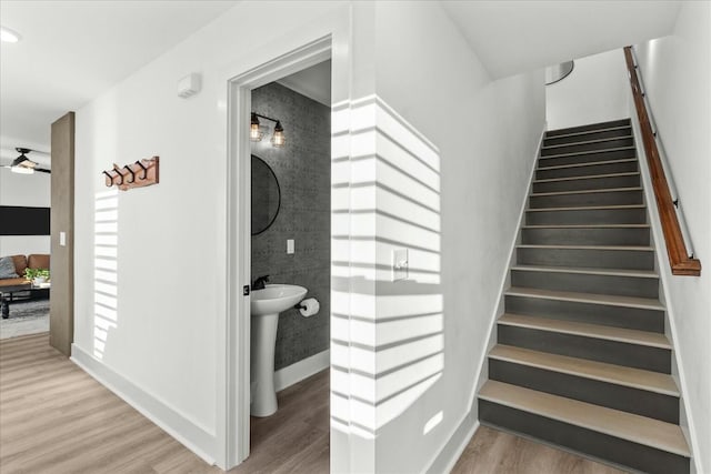 stairs featuring ceiling fan, wood-type flooring, and sink