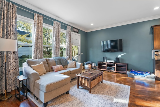 living room with crown molding and hardwood / wood-style floors