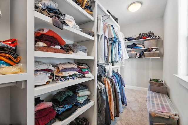 walk in closet with carpet flooring