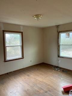 empty room with a wealth of natural light and light hardwood / wood-style flooring