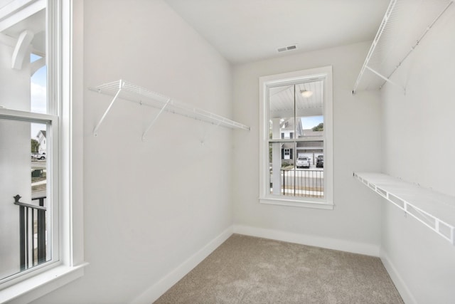 walk in closet featuring light carpet