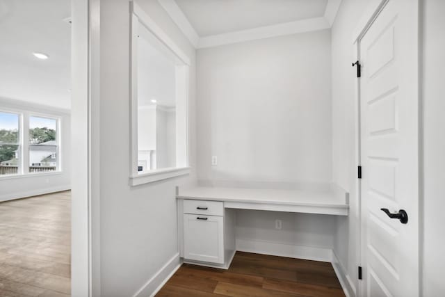 mudroom featuring built in desk, dark hardwood / wood-style floors, and ornamental molding