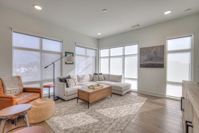 living room with hardwood / wood-style floors