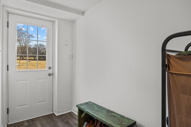 doorway to outside featuring dark wood-type flooring