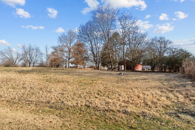 view of yard with a rural view