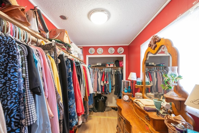 spacious closet featuring light hardwood / wood-style flooring