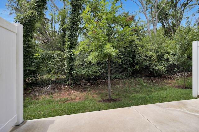 view of yard featuring a patio