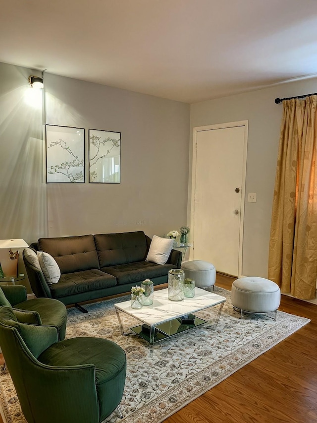 living room featuring hardwood / wood-style floors