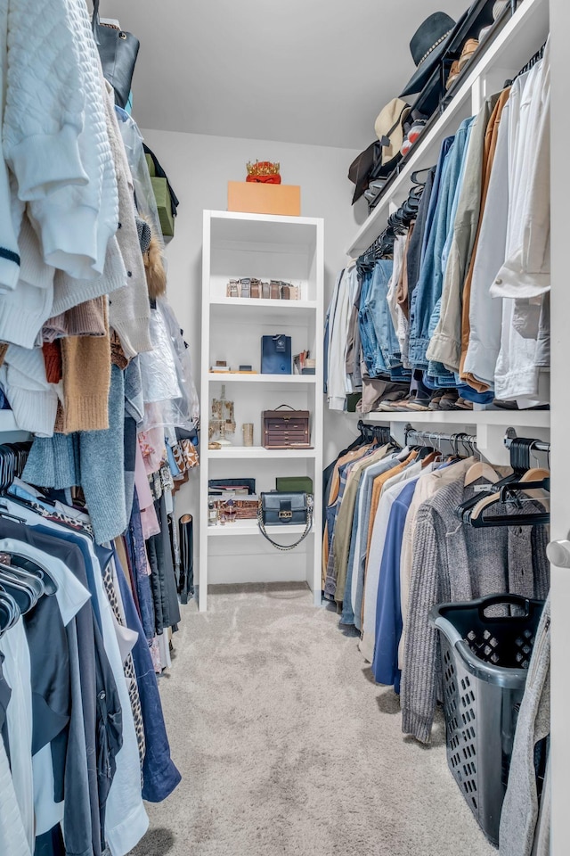 spacious closet with light colored carpet