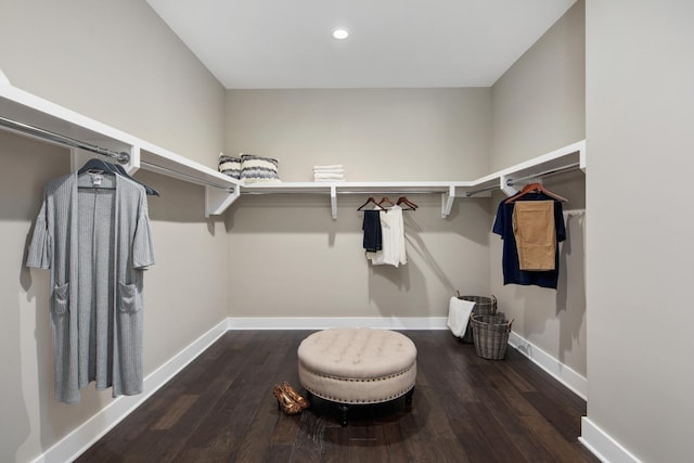 spacious closet with dark wood-type flooring