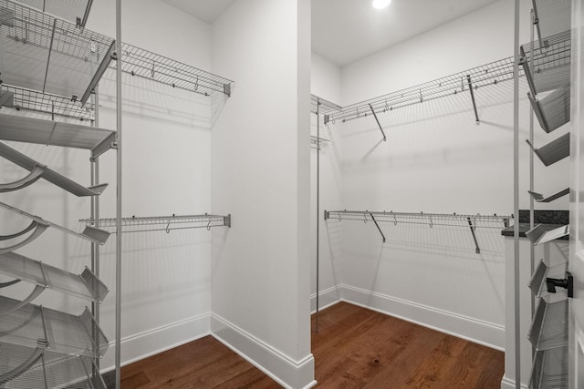 walk in closet featuring hardwood / wood-style flooring