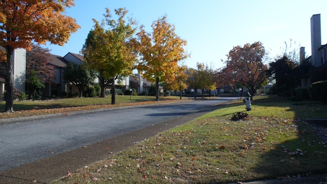 view of street