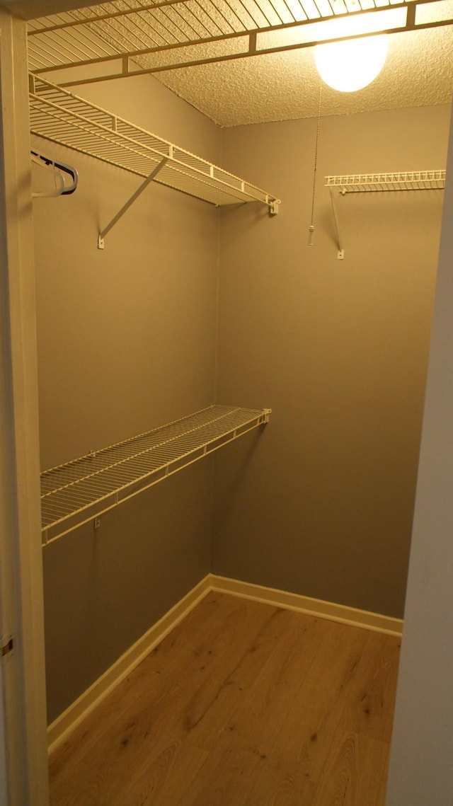 spacious closet with wood-type flooring